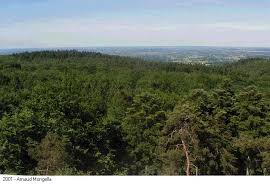 Dense forest of Perseigne seen from the sky